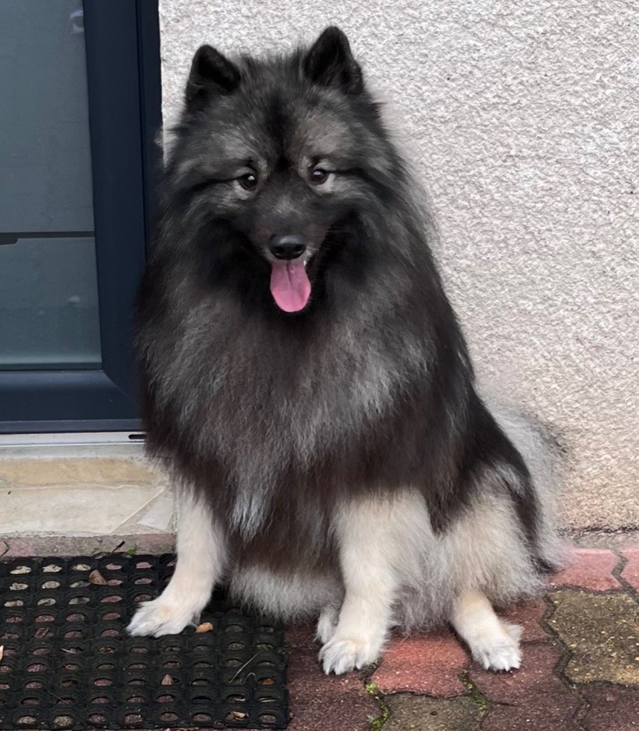 Ragnar lothbrok Des Sables Du Mont Olympe